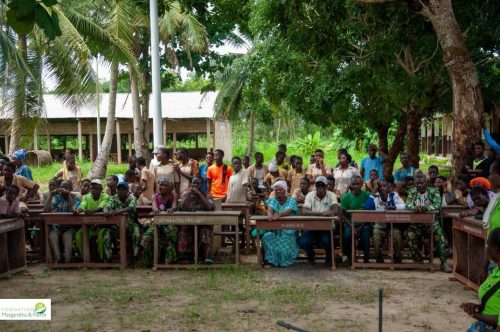 Année scolaire 2024-2025 6